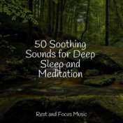 50 Soothing Sounds for Deep Sleep and Meditation