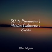 50 de Primavera | Música Calmante | Sueño