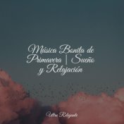 Música Bonita de Primavera | Sueño y Relajación