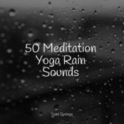 50 Meditation Yoga Rain Sounds