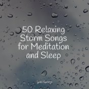 50 Relaxing Storm Songs for Meditation and Sleep