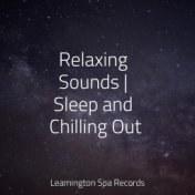 Relaxing Sounds | Sleep and Chilling Out