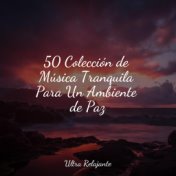 50 Colección de Música Tranquila Para Un Ambiente de Paz