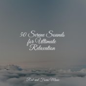 50 Serene Sounds for Ultimate Relaxation