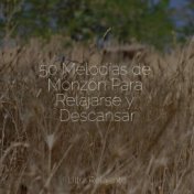50 Melodías de Monzón Para Relajarse y Descansar
