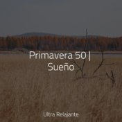 Primavera 50 | Sueño