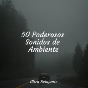 50 Poderosos Sonidos de Ambiente