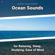 #01 Ocean Sounds for Relaxing, Sleep, Studying, Ease of Mind