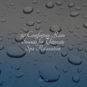 50 Comforting Rain Sounds for Ultimate Spa Relaxation