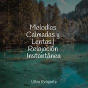 Melodías Calmadas y Lentas | Relajación Instantánea