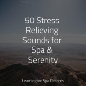 50 Stress Relieving Sounds for Spa & Serenity