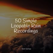 50 Loopable Ambient Rain Sounds