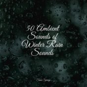 50 Ambient Sounds of Winter Rain Sounds