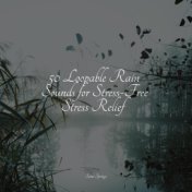 50 Loopable Rain Sounds for Stress-Free Stress Relief
