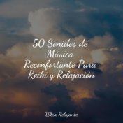 50 Sonidos de Música Reconfortante Para Reiki y Relajación