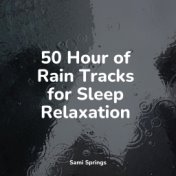 50 Hour of Rain Tracks for Sleep Relaxation