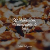 50 Meditación, Musicoterapia de Spa