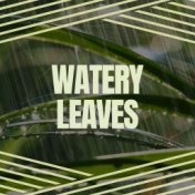 Watery Leaves