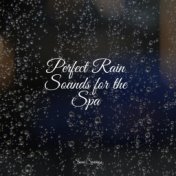 Perfect Rain Sounds for the Spa