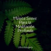 Música Suave Para la Meditación Profunda