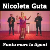 Nunta mare la tigani