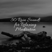 50 Rain Sounds for Relaxing Meditation
