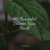 50 Beautiful Winter Rain Tracks