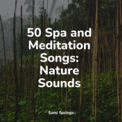 50 Spa and Meditation Songs: Nature Sounds