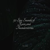 50 Spa Sounds of Rain and Thunderstorms