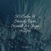 50 Calm & Steady Rain Sounds for Yoga or Spa