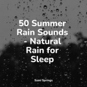 50 Summer Rain Sounds - Natural Rain for Sleep