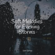 Soft Melodies for Evening Storms