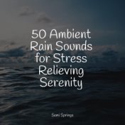 50 Ambient Rain Sounds for Stress Relieving Serenity