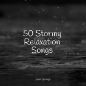 50 Stormy Relaxation Songs