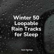 Winter 50 Loopable Rain Tracks for Sleep
