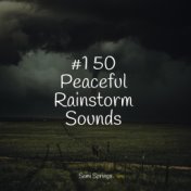 #1 50 Peaceful Rainstorm Sounds
