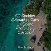 50 Sonidos Calmantes Para Un Sueño Profundo y Curación