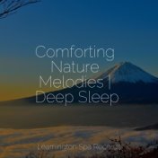 Comforting Nature Melodies | Deep Sleep