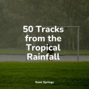 50 Tracks from the Tropical Rainfall