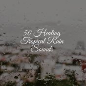 50 Healing Tropical Rain Sounds
