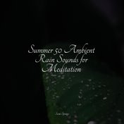 Summer 50 Ambient Rain Sounds for Meditation