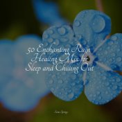 50 Enchanting Rain Healing Mix for Sleep and Chilling Out