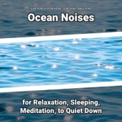 #01 Ocean Noises for Relaxation, Sleeping, Meditation, to Quiet Down