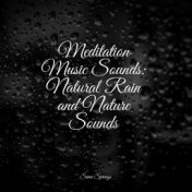 Meditation Music Sounds: Natural Rain and Nature Sounds