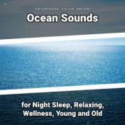 #01 Ocean Sounds for Night Sleep, Relaxing, Wellness, Young and Old