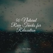 50 Natural Rain Tracks for Relaxation