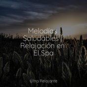 Melodías Saludables | Relajación en El Spa