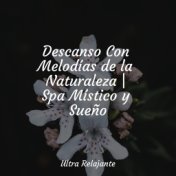 Descanso Con Melodías de la Naturaleza | Spa Místico y Sueño