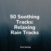 50 Comforting Rain Sounds