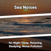 #01 Sea Noises for Night Sleep, Relaxing, Studying, Noise Pollution